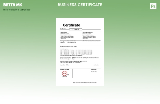 Модерен стил Индија сертификат на компанијата Word и шаблон за PDF